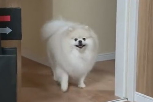 ちくわくんの愛想笑い