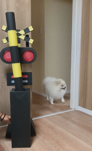 笑顔引っ込んだちくわくん