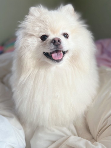 笑顔のちくわくん