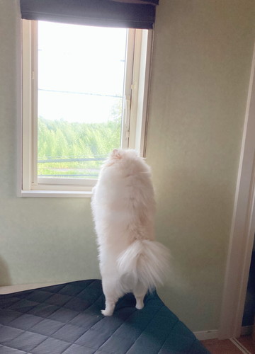 見守るちくわくん