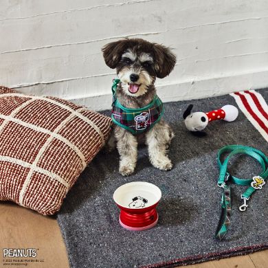 リード付きハーネスM、フードボウル、ペット用ぬいぐるみ