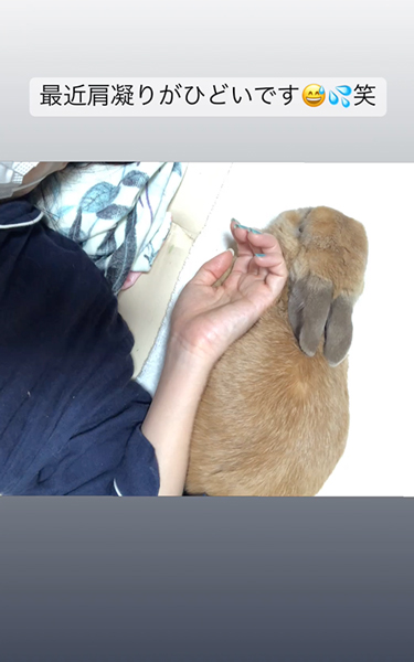 毎日一緒に寝るうさぎ