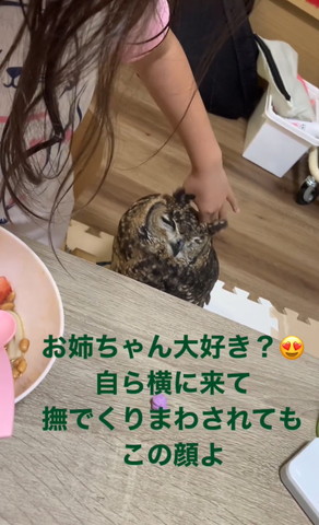 うっとり顏のミミズク