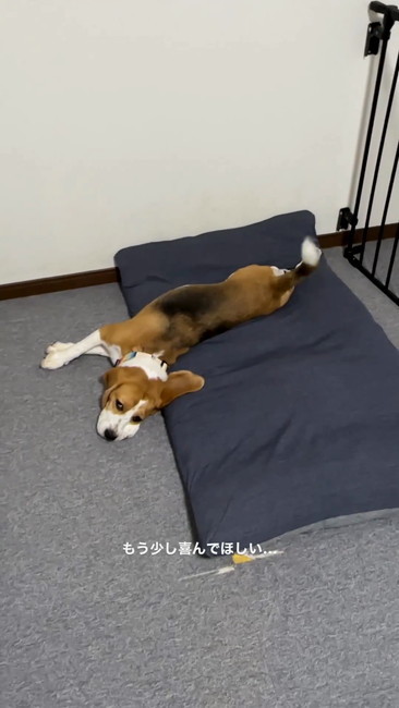 もう少し喜んで