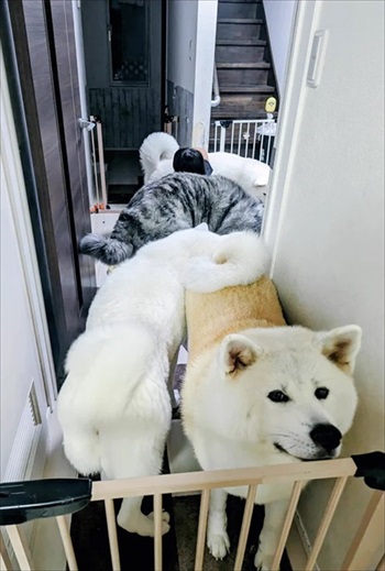 波にのまれる次女さん