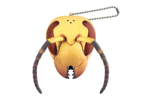 100倍ズーム アリとハチの頭 カプセルトイ TAMA-KYU