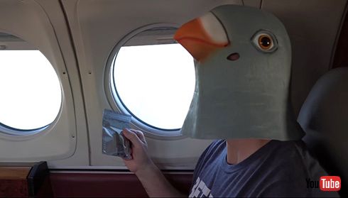 YouTube 伝書鳩 インターネット