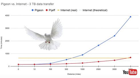 YouTube 伝書鳩 インターネット