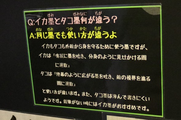 イカ墨　タコ墨