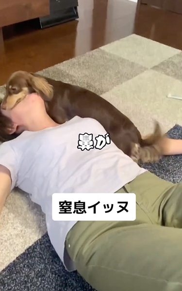 飼い主の母への愛が強すぎるワンコ