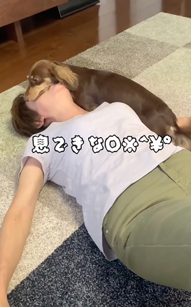 飼い主の母への愛が強すぎるワンコが乗ってる