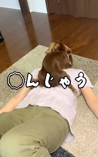 苦しい飼い主の母