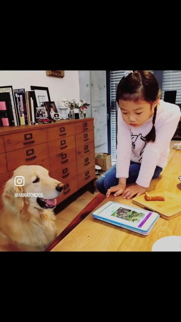 タブレット見る