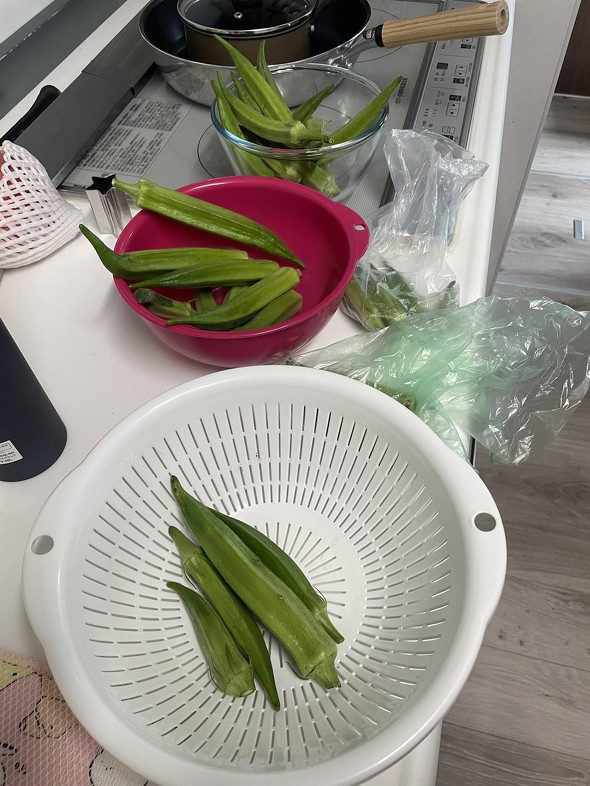 大量のオクラ