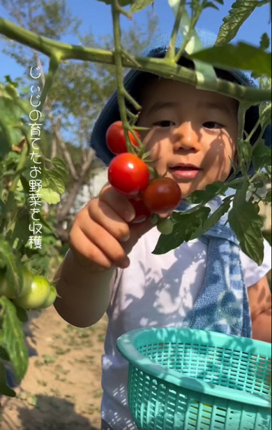 じいじとばあばと過ごす2歳の男の子の夏休み