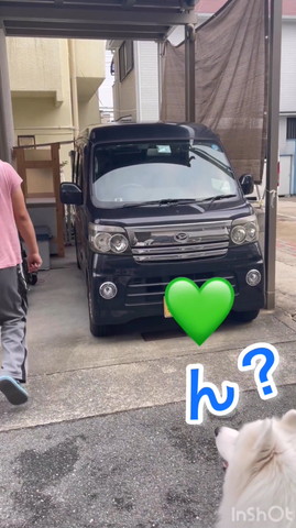 パパの後ろ姿を見るワンコ