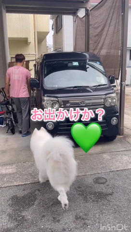 お出かけかテロップ