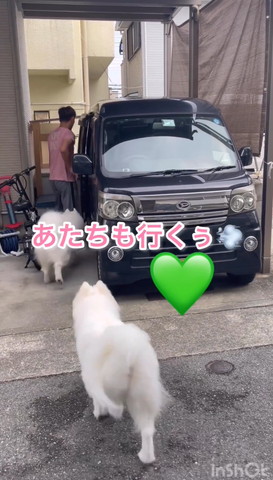 あたちも行くテロップ