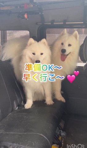 準備OKテロップ