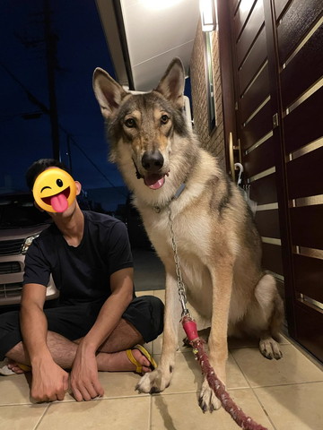 家族とワンコ正面ツーショット