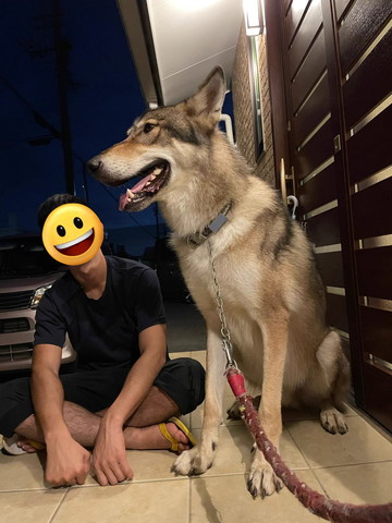 家族とワンコ横顔ツーショット