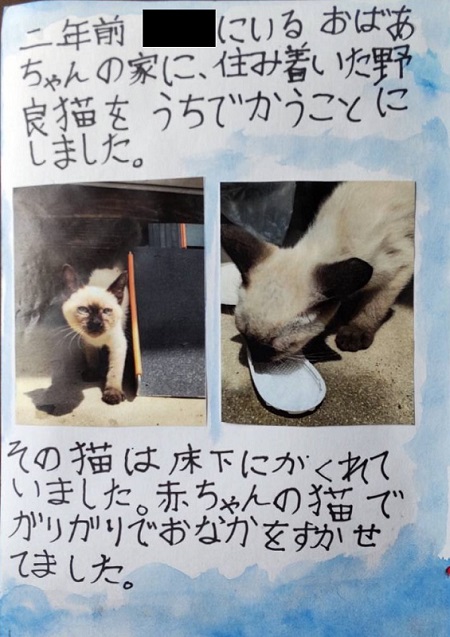 娘と猫の出会い
