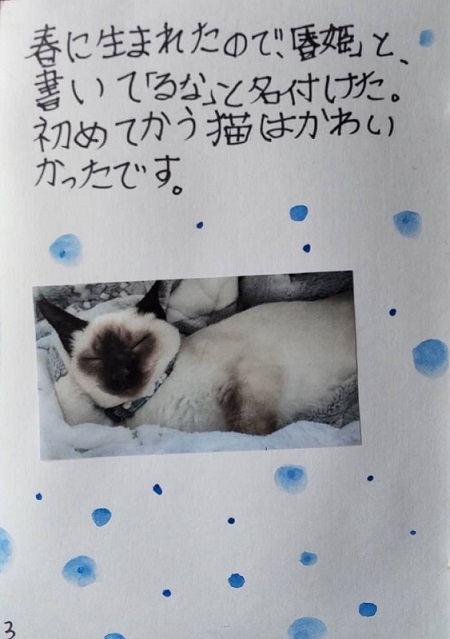 子どもの夏休みの宿題