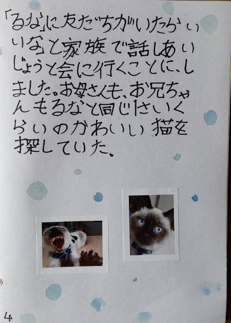 子どもの自由研究