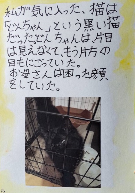 夏休みの自由研究