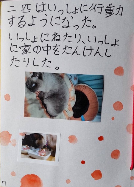 自由研究のテーマ