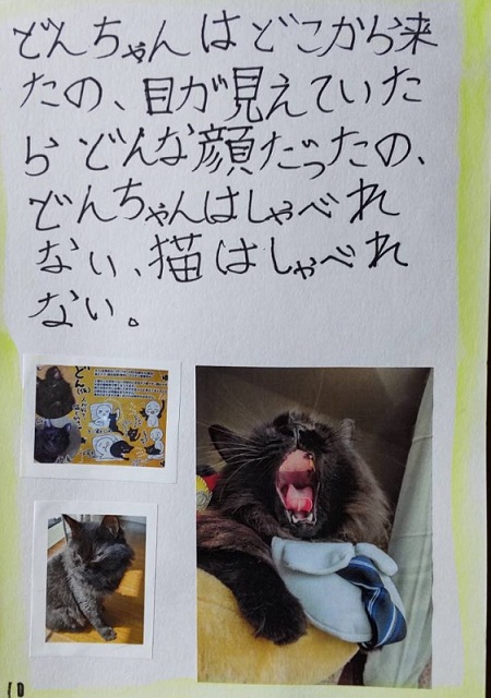 小学生の自由研究