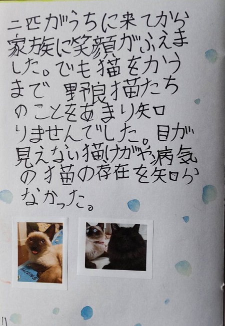 小学生の夏休みの自由研究