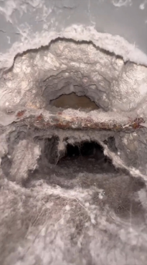 掃除　ダクト掃除　海外