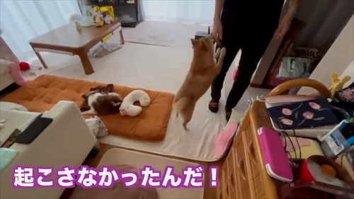 起こさなかったんだ