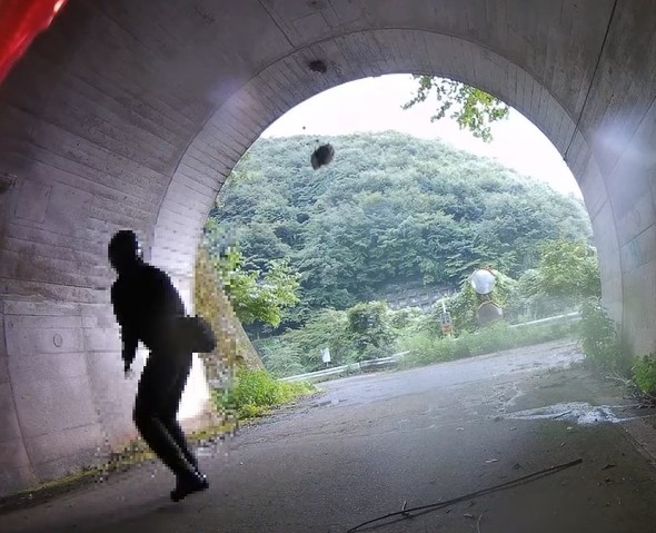 スズメバチ　巣　破壊