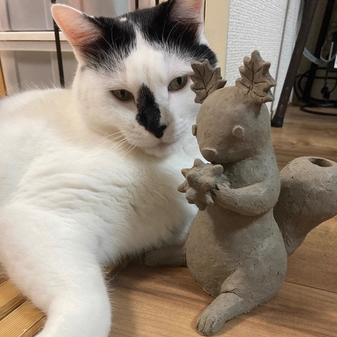 置物見つめる猫