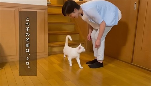 ママ大好きな保護猫