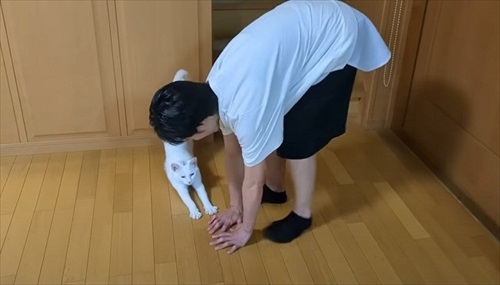 ママ大好きな保護猫