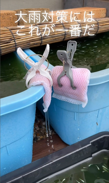 動画冒頭