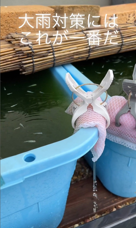 少し左寄り