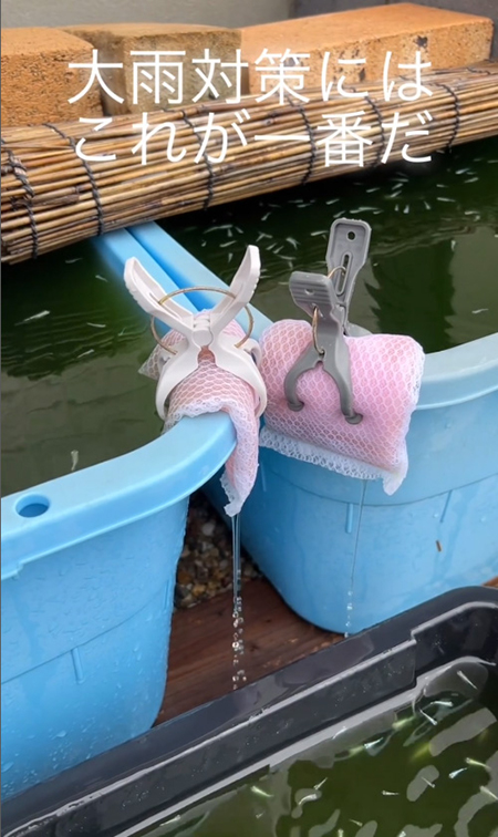 動画最後
