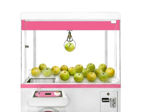 鳥取県 梨取県 クレーンゲーム 梨づかみ ワンコイン 鳥取県産 二十世紀梨