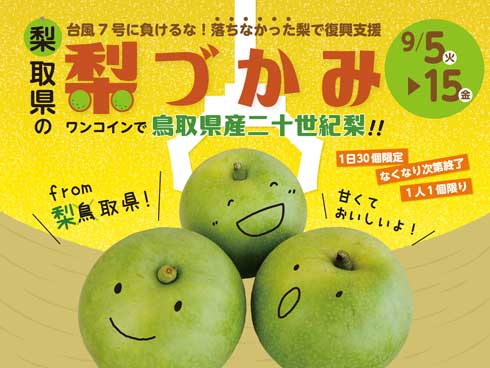 鳥取県 梨取県 クレーンゲーム 梨づかみ ワンコイン 鳥取県産 二十世紀梨