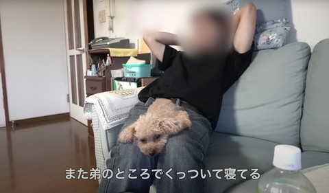 また弟のところでテロップ