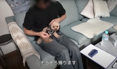 そろそろ帰りますテロップ