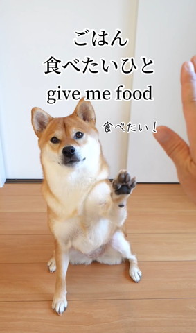 ごはんた食べたい人