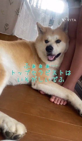 トップセラピストは忙しい