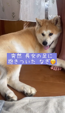 突然長女の足に抱きついたなぎ