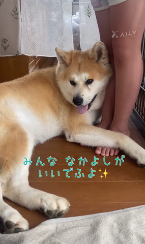 みんななかよしがいいでふよ