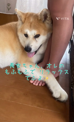 俺のもふもふでリラックス